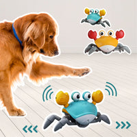 CrawlCrab™ | Kruipende Krab - Interactief Speelgoed voor Puppy's